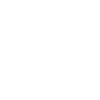 start icon